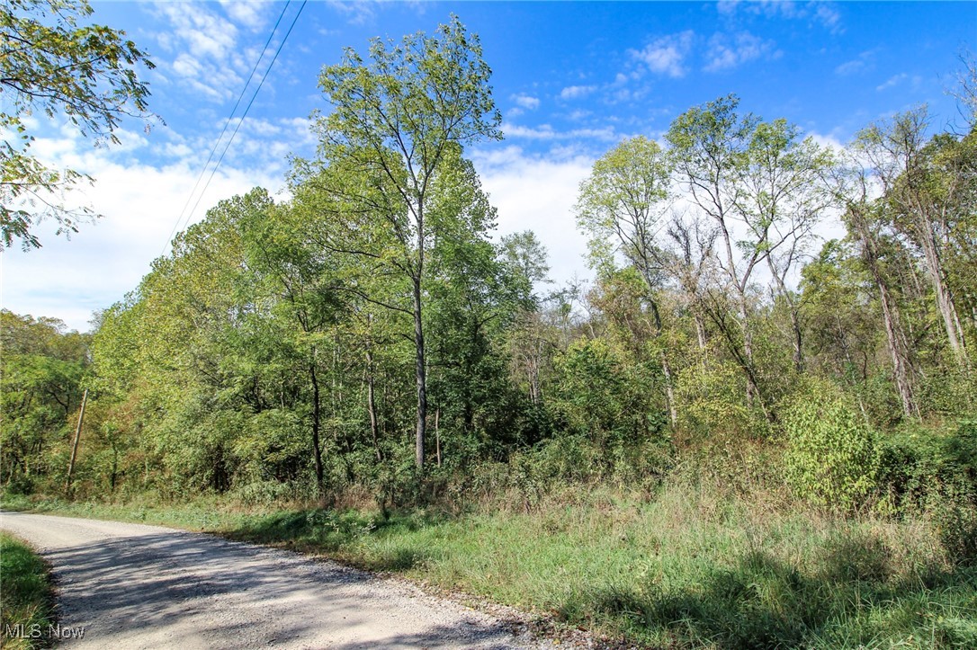 Lot 4 Brooks Road, Marietta, Ohio image 6