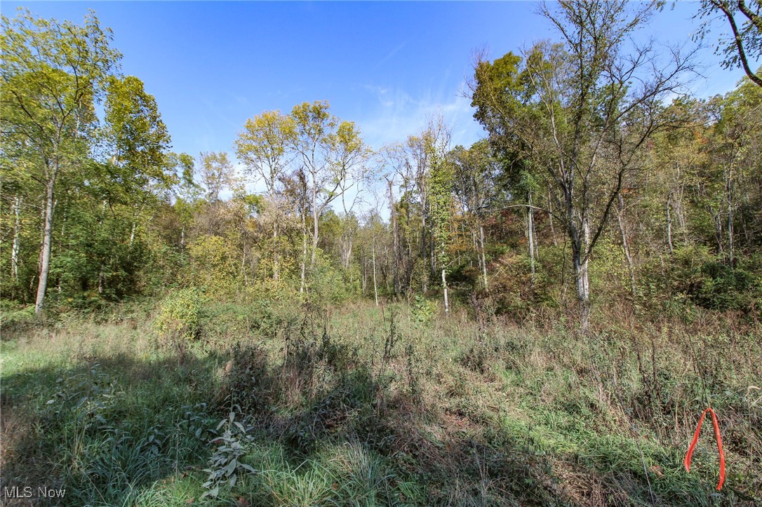 Lot 4 Brooks Road, Marietta, Ohio image 13