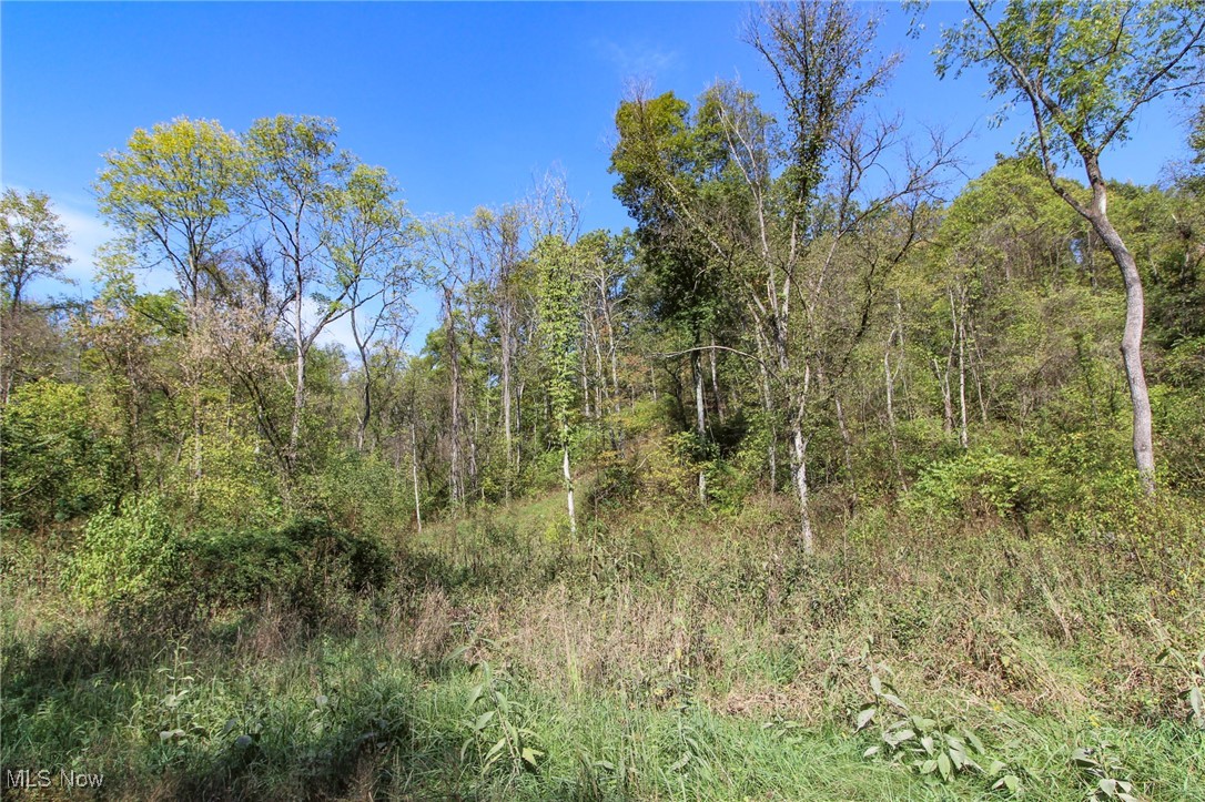 Lot 4 Brooks Road, Marietta, Ohio image 12