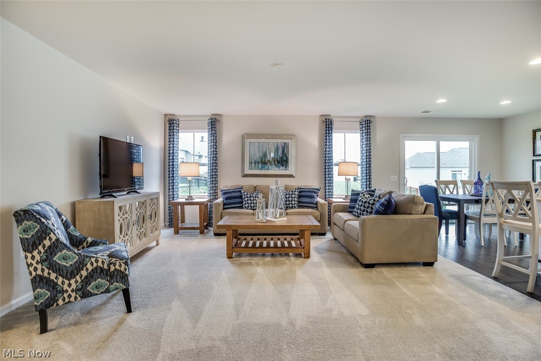 Villas of Meadow View - Residential