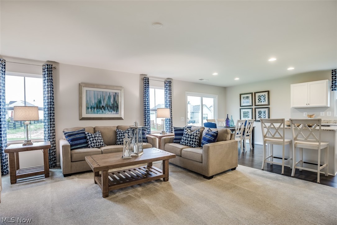 Villas of Meadow View - Residential