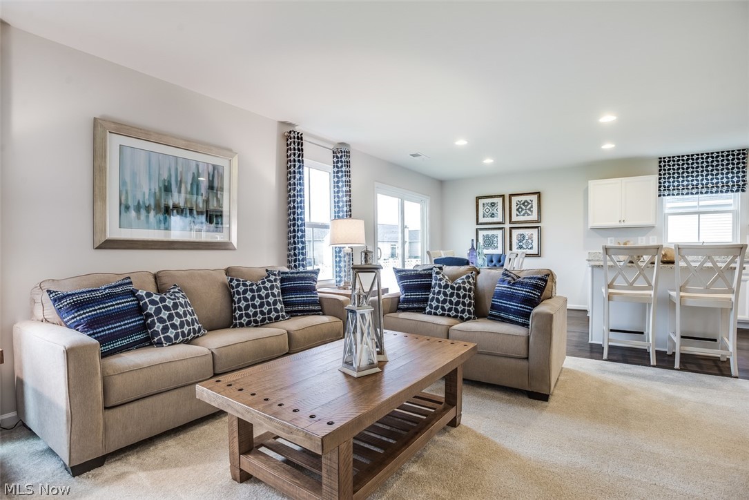 Villas of Meadow View - Residential