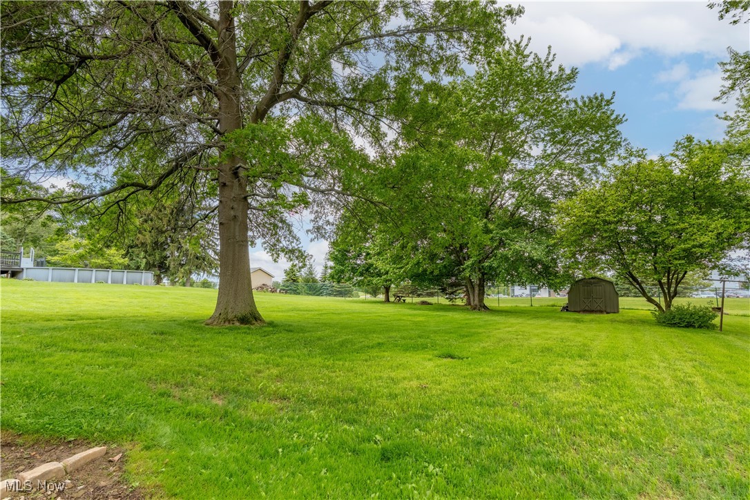 6111 Hollydale Avenue, Canton, Ohio image 37