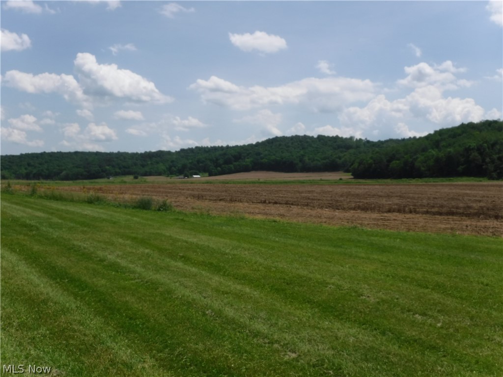 40319 County Road 19, Killbuck, Ohio image 17