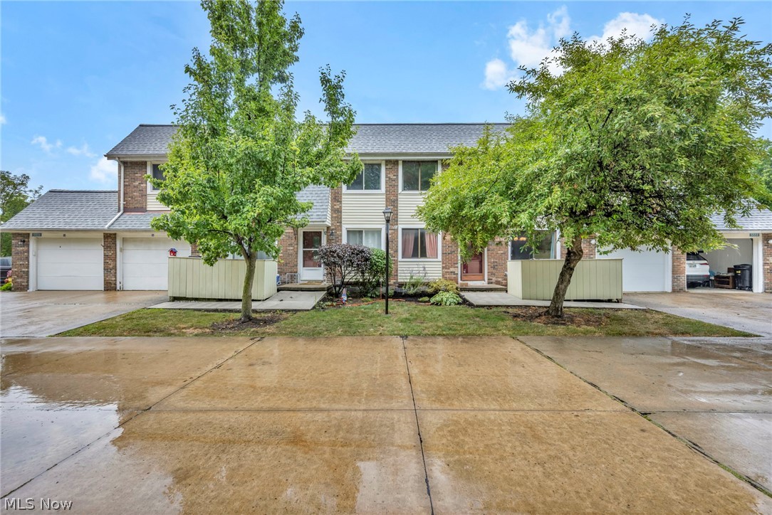 Big Turtle II Condo - Residential