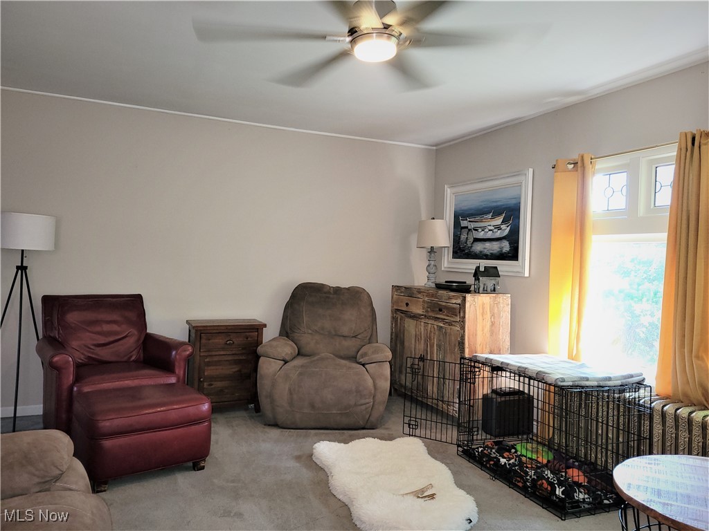 517 N 10th Street, Cambridge, Ohio image 17