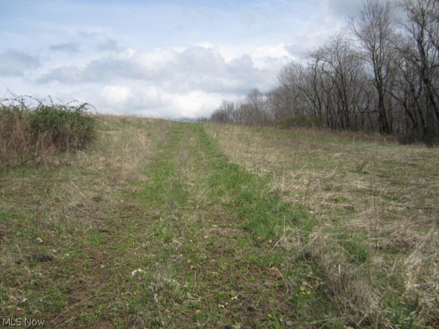 Jefferson Co, Ohio 6.4 vacant acres just west of Richmond.  Partially wooded with open land, building site, recreation. Mineral rights do not transfer to buyer.