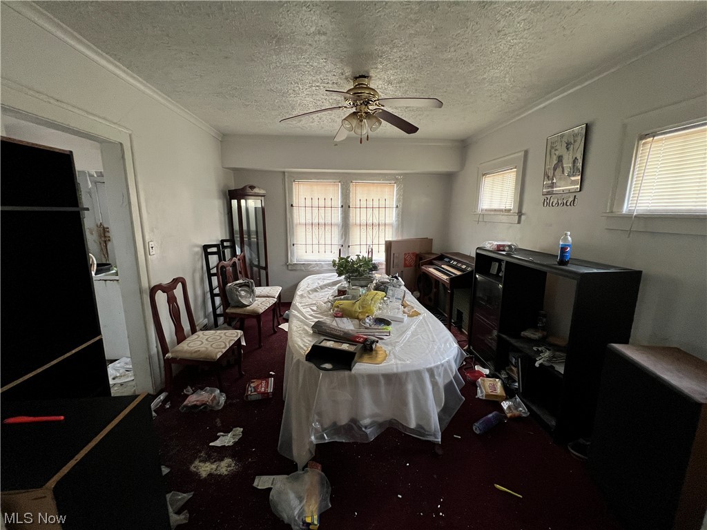 Pointer - Residential