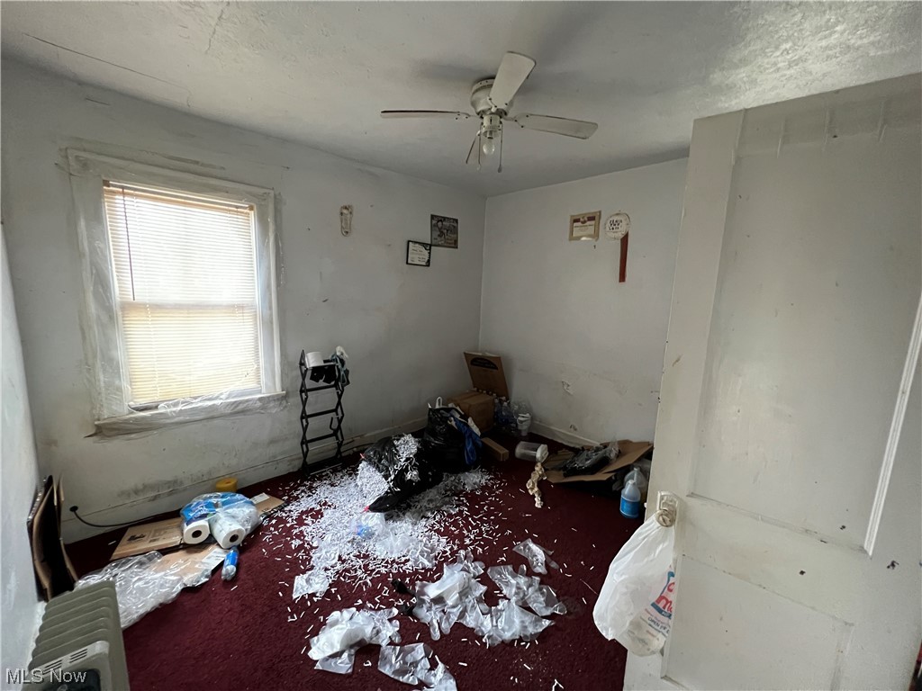 Pointer - Residential