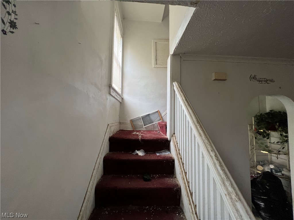 Pointer - Residential