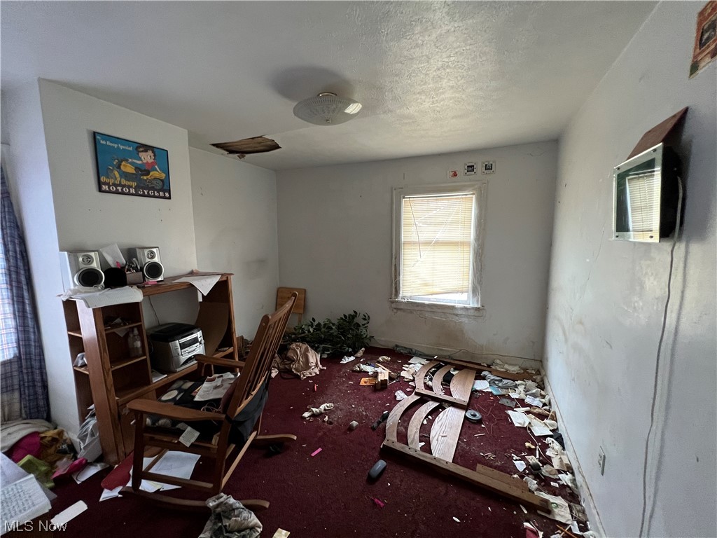 Pointer - Residential