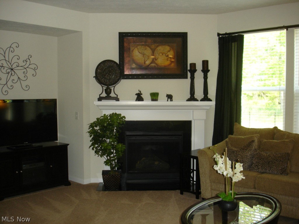 Woods of Schneider Reserve - Residential