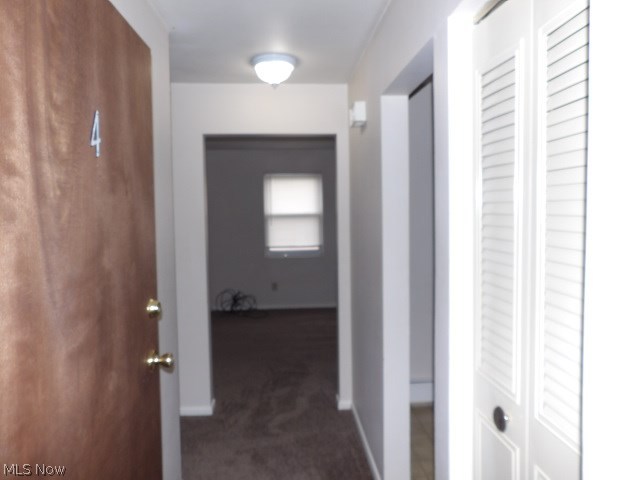 Finelli - Residential Lease