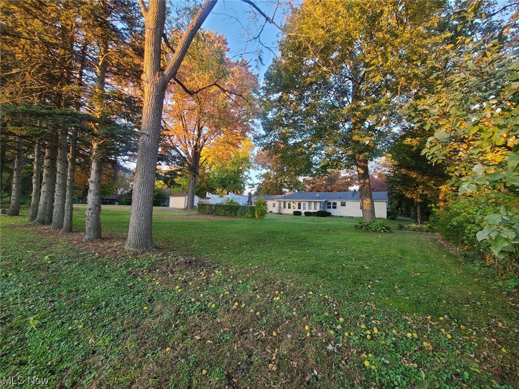 Doan Ave Allotment - Residential