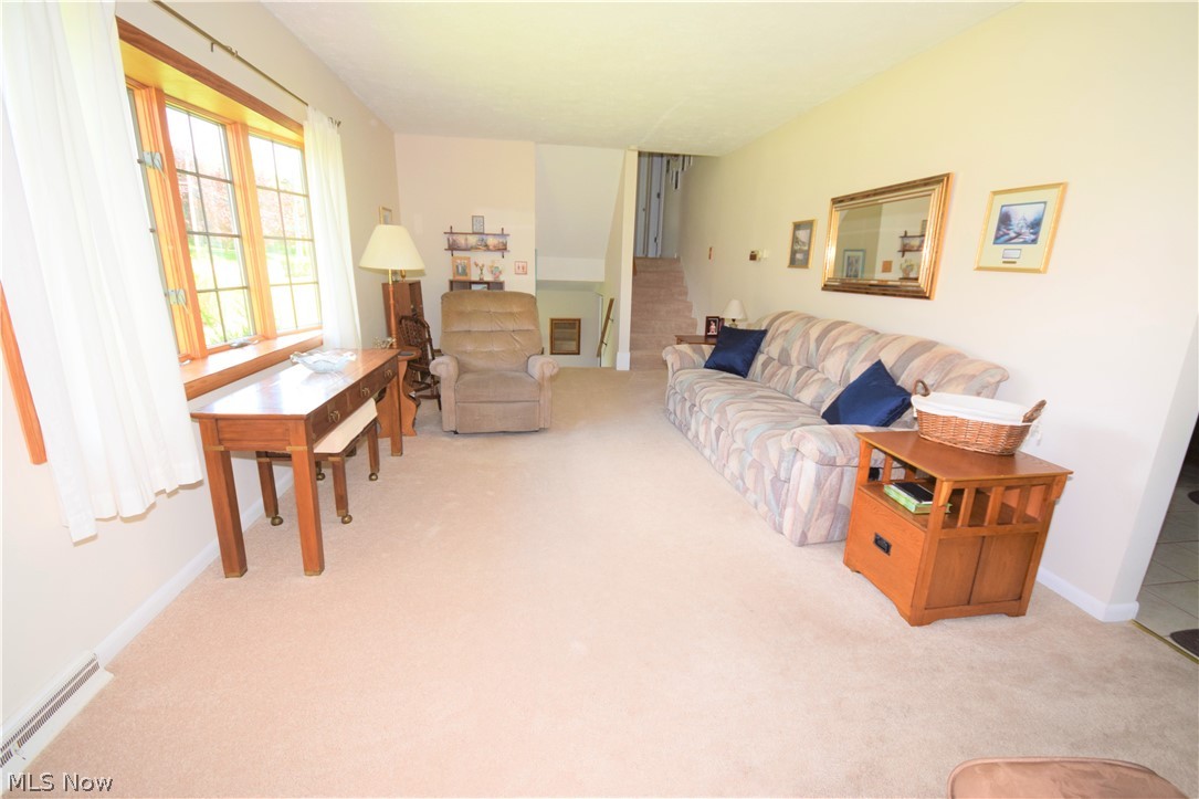 Silver Lake Little Farms - Residential