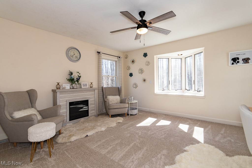 11730 Colchester Lane, Chagrin Falls, Ohio image 32