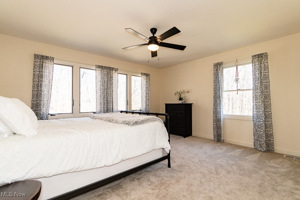 11730 Colchester Lane, Chagrin Falls, Ohio image 30