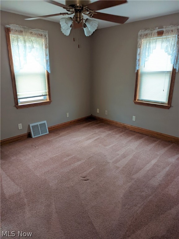 Cleveland Street Allotment - Residential