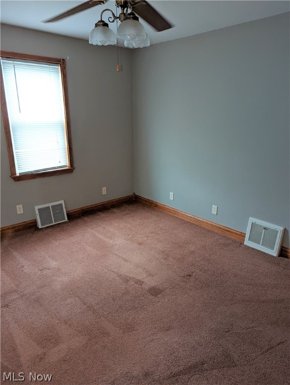 Cleveland Street Allotment - Residential