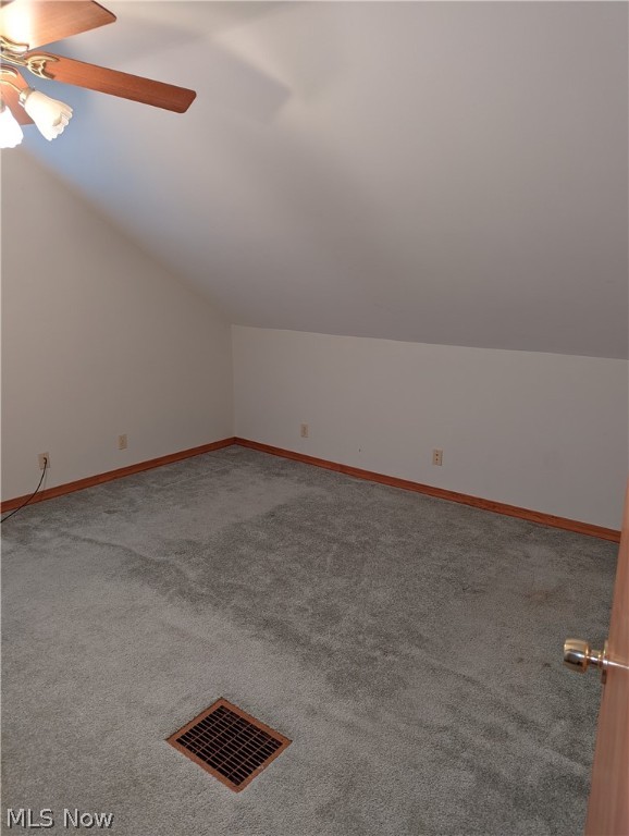 Cleveland Street Allotment - Residential