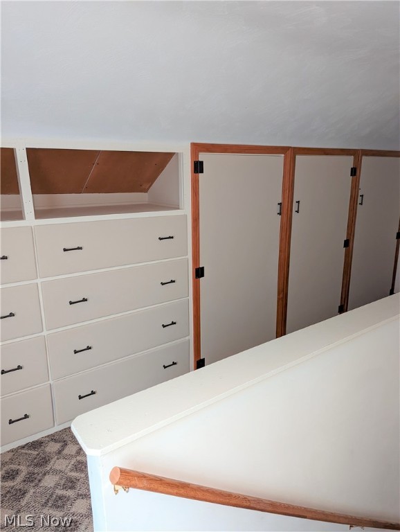 Cleveland Street Allotment - Residential