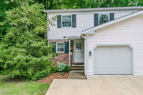 9 E Carriage Drive Chagrin Falls OH 44022