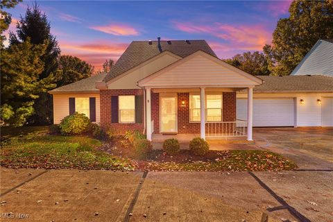 624 N Creek Drive, Painesville, OH 44077 - #: 5079951