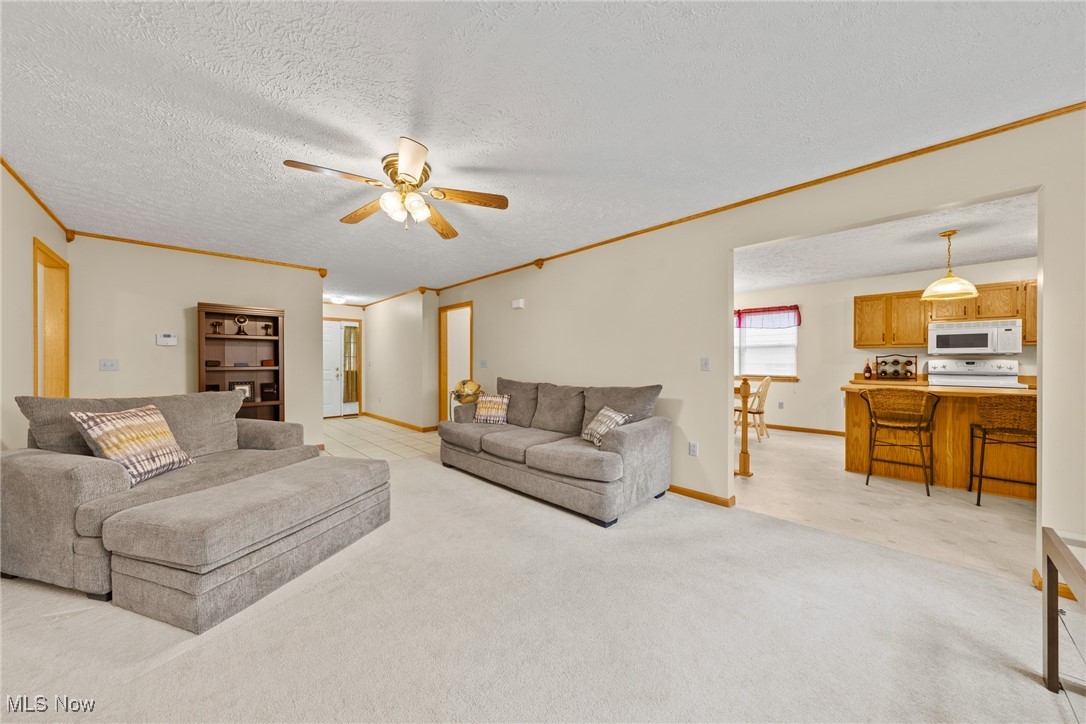 1250 Honodle Avenue, Akron, Ohio image 4