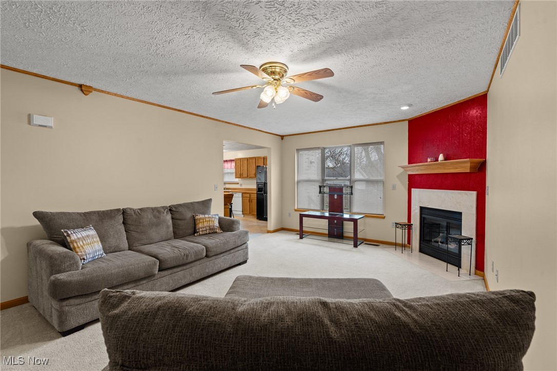 1250 Honodle Avenue, Akron, Ohio image 7