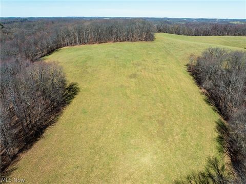 Vacant Land For Sale - Burrier Road<br/> Jewett, OH 43986