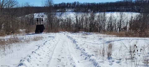 Vacant Land For Sale - 33480 County Road 99<br/> Warsaw, OH 43844