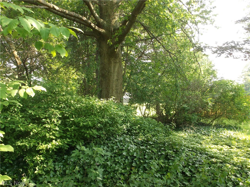 Longbrooke 01 - Residential