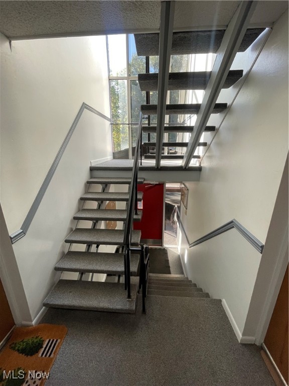 Terrace North Condo - Residential