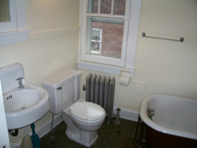 Coventry Cedar - Residential