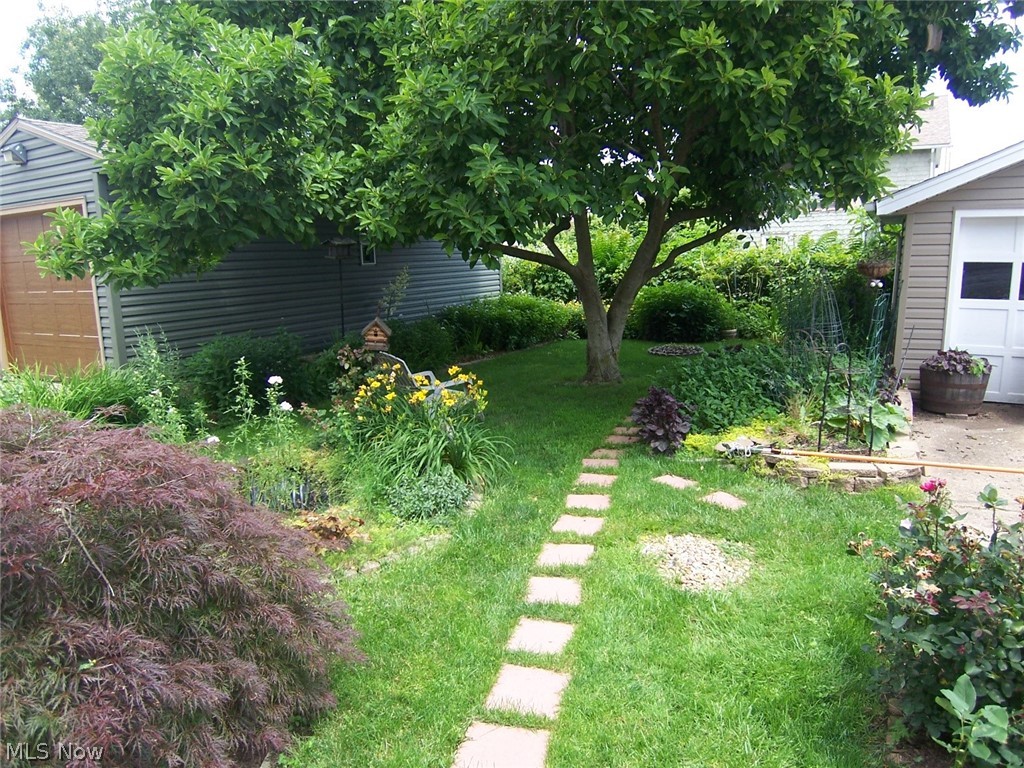North Hill Allotment/Turner's - Residential