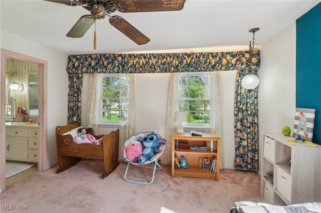 6008 Douglas Drive, Madison, Ohio image 31