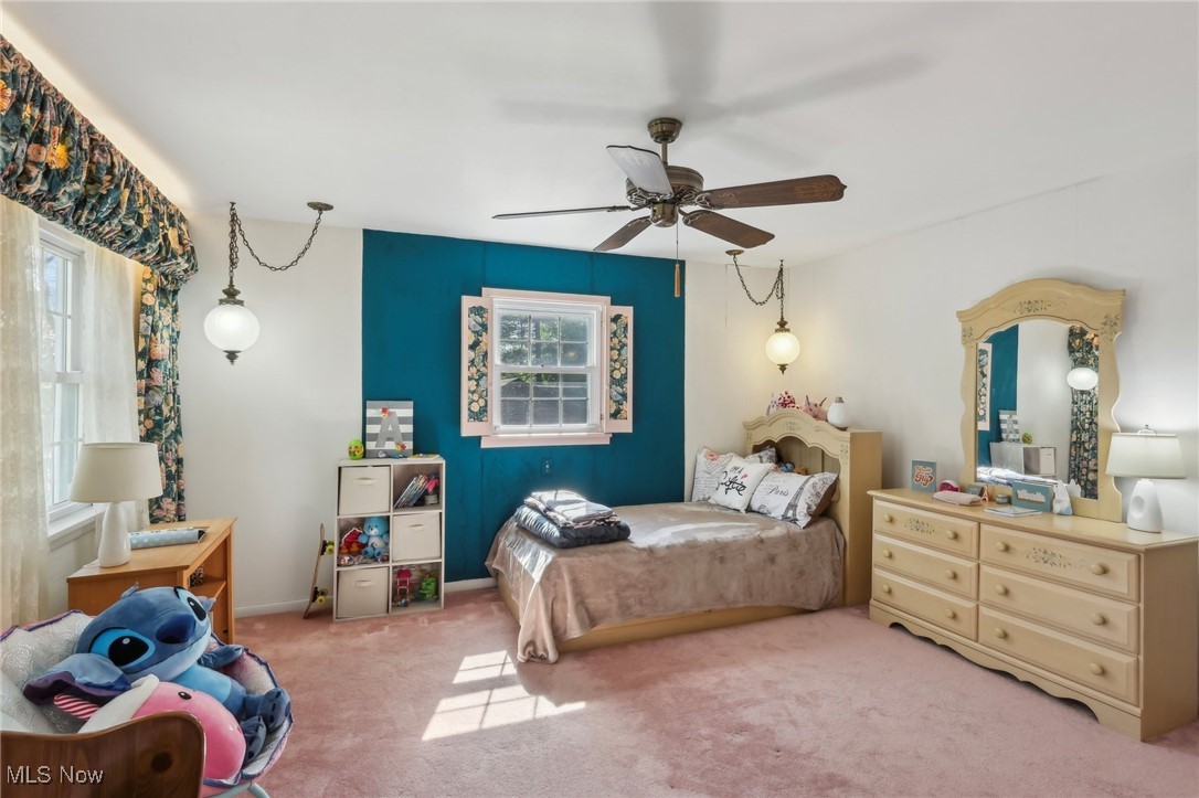 6008 Douglas Drive, Madison, Ohio image 30