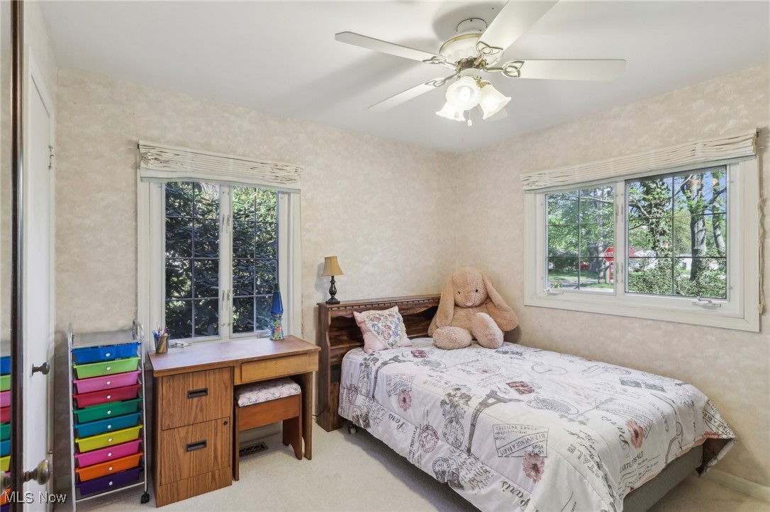 6008 Douglas Drive, Madison, Ohio image 23