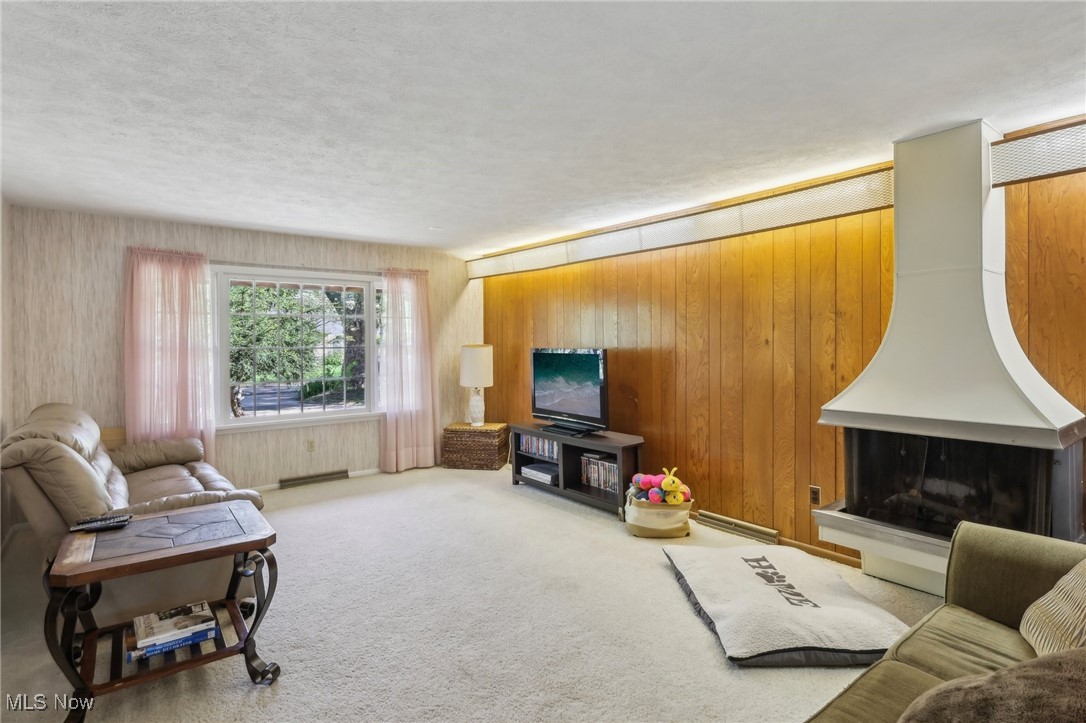 6008 Douglas Drive, Madison, Ohio image 11
