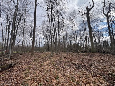 Tiny photo for Schubert Avenue NE, Alliance, OH 44601 (MLS # 5202888)