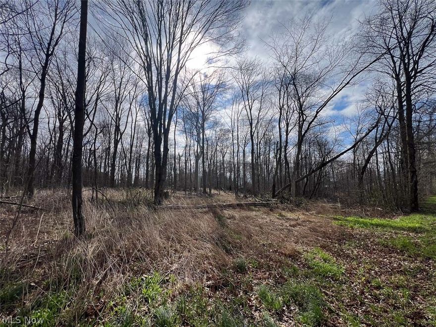 4 Acres Wooded Residential Land. Washington Twp., Marlington LSD. Quiet Street, Close to Amenities. Live Onsite with Online Bidding Available. Absolute auction, all sells to the highest bidder. ONLINE BIDDING BEGINS TUESDAY, MAY 5, 2026, AT 9:00 AM, AND AUCTION LIVE ON-SITE BIDDING WILL BEGIN WEDNESDAY, MAY 6, 2026, AT 12:30 PM. Attention: exciting land auction opportunity. This wooded 4-acre residential lot, offering potential future homesite, is conveniently located in Washington Township. Marlington School District. The scenic property features many mature trees, with a small stream with a bridge running through the south side of the property. Rectangular lot with approx. 410 ft. of frontage on Schubert Ave. NE, with approx. 430 ft. depth. Property is zoned residential, on a quiet street between Easton Rd. and State St., close to modern amenities. Water, gas, and electric available at the road. Property consists of two Stark County parcels, #7501373 and #7501374, selling together as an entirety, not to be offered separately. Current half-year taxes totaling $372.61. Bring your builder, walk the land at your convenience. Please call the auctioneer before entering the property.