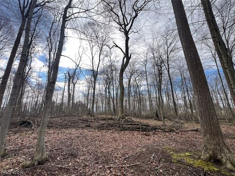 Tiny photo for Schubert Avenue NE, Alliance, OH 44601 (MLS # 5202888)