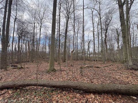 Tiny photo for Schubert Avenue NE, Alliance, OH 44601 (MLS # 5202888)