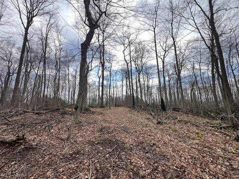 Tiny photo for Schubert Avenue NE, Alliance, OH 44601 (MLS # 5202888)