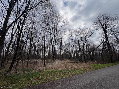 Tiny photo for Schubert Avenue NE, Alliance, OH 44601 (MLS # 5202888)