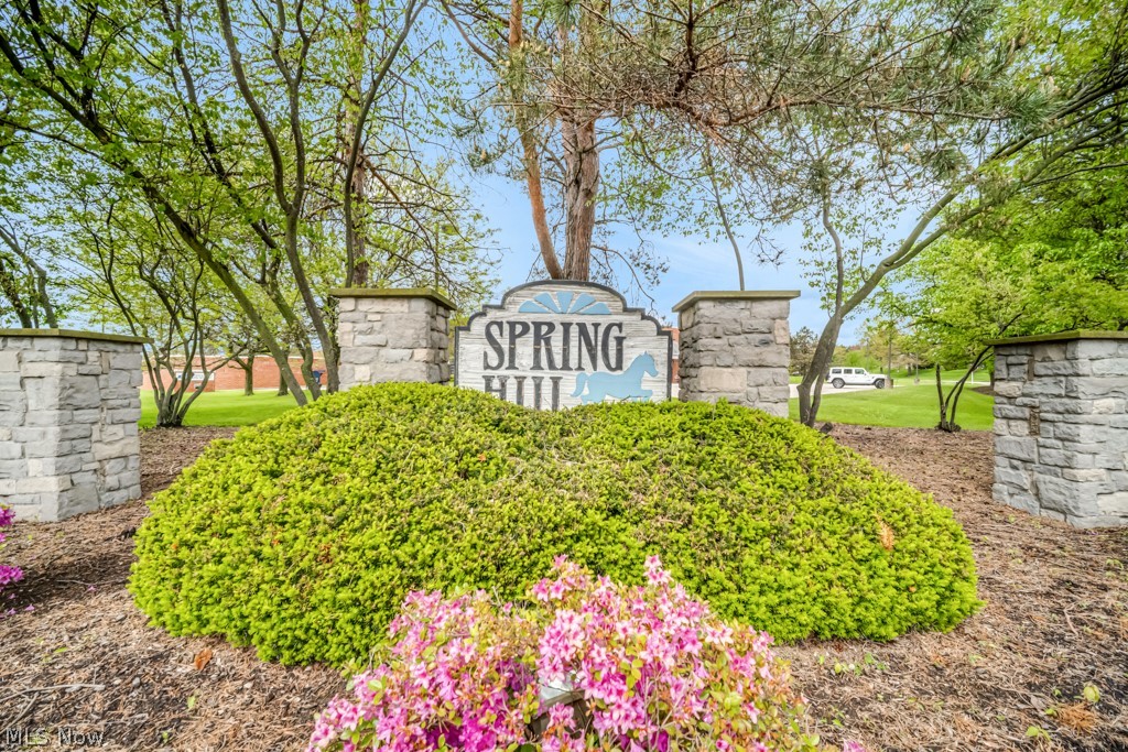 Spring Hill Cluster - Residential