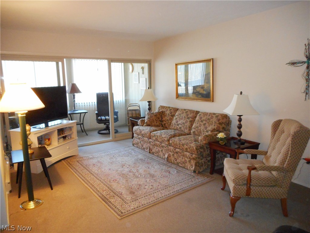 Silver Lake Towers Condo - Residential