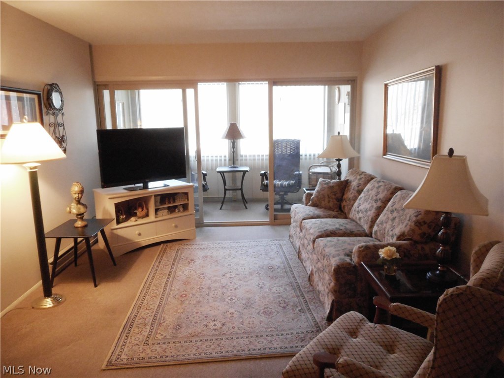 Silver Lake Towers Condo - Residential