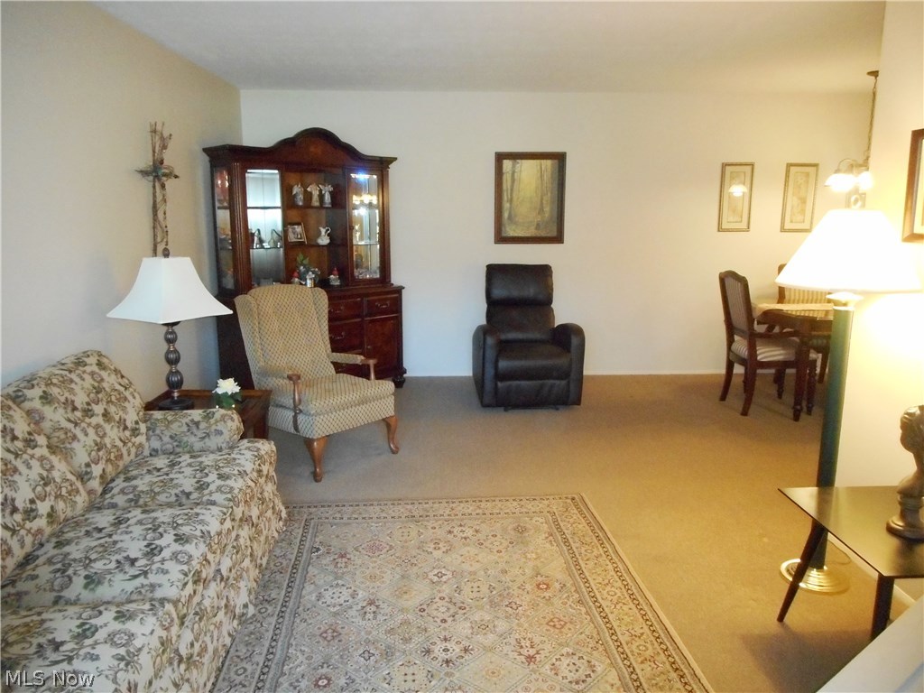 Silver Lake Towers Condo - Residential