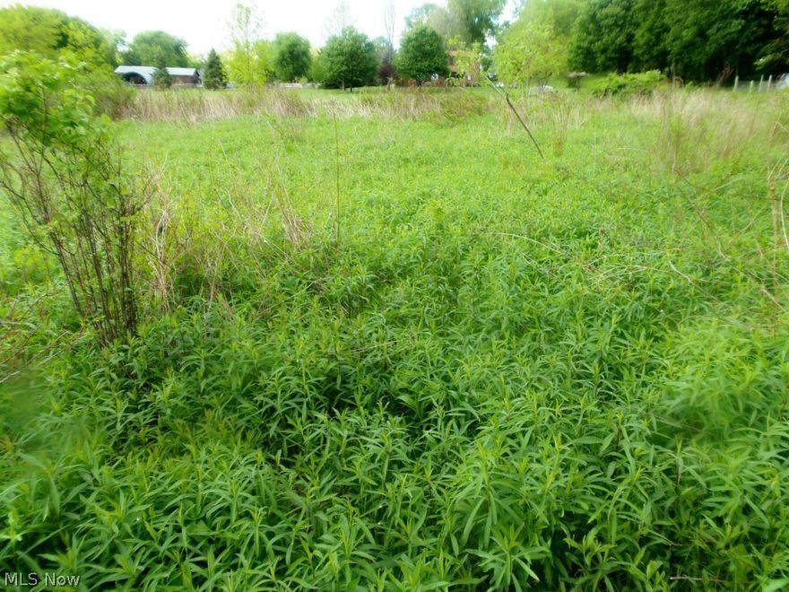 Quiet, isolated, walking distance to Nimisila Reservoir. Septic test approved 2014.